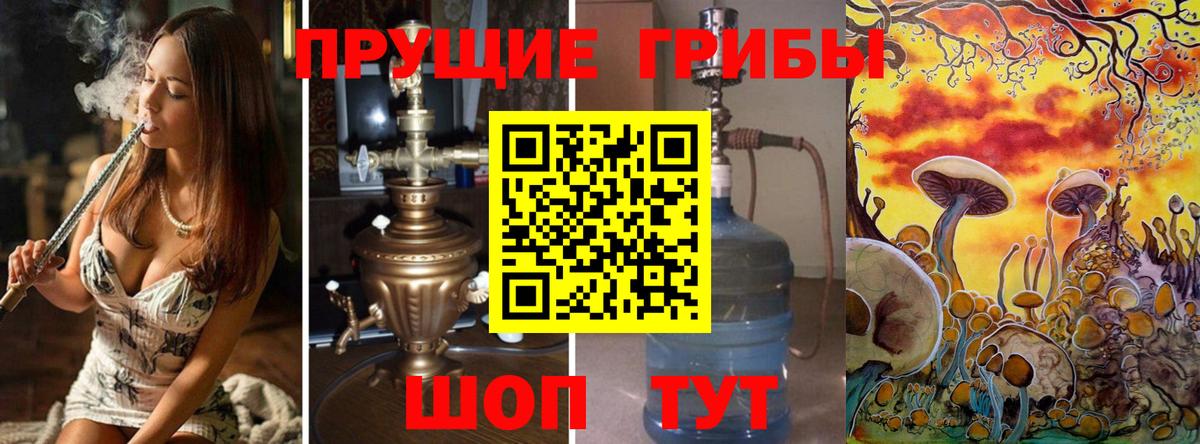 Салават  Псилоцибиновые грибы Psilocybine cubensis  Вход с VPN 